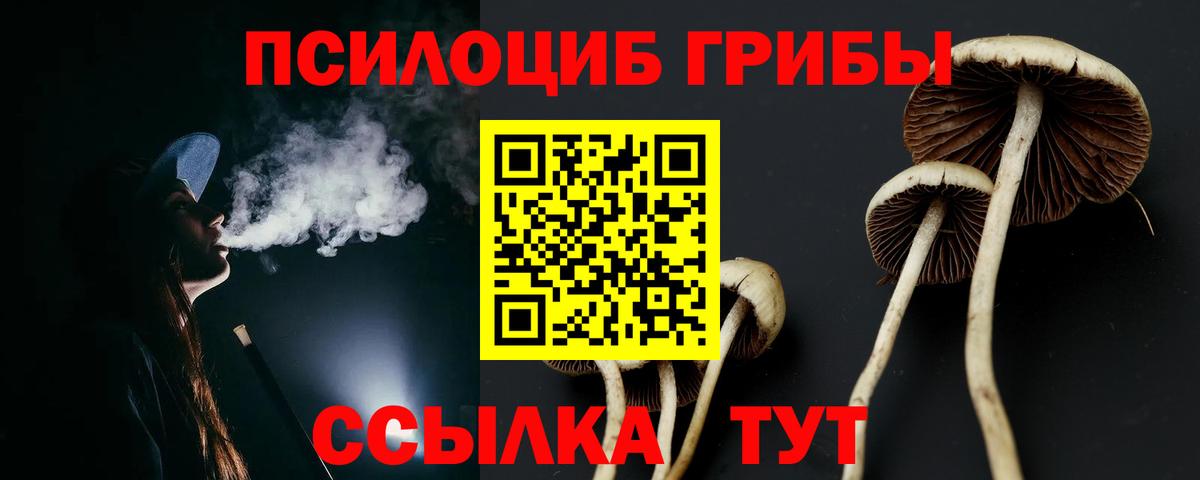 Керчь  Галлюциногенные грибы прущие грибы  Вход с VPN 